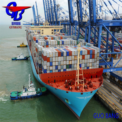 Servicio de transporte marítimo Capacidad aduanera Importación y despacho de aduanas desde Europa con 8000-10000 kg Suministro total