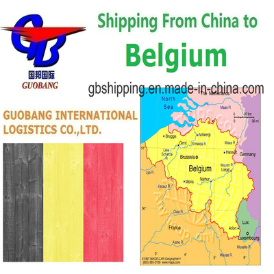 Servicios de transporte marítimo rápido y asequible desde Bélgica Salida desde Shenzhen/HK//Shanghai/Tianjin