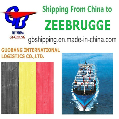 Servicios de transporte marítimo convenientes y personalizables desde Zeebrugge a Bélgica Carga aérea por mar LCL FCL Mensajero
