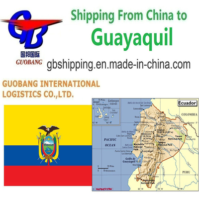 Los mejores servicios de envío desde a Guayaquil con Sq Air Shipping y servicio adicional Co/Fa/Fe/FF