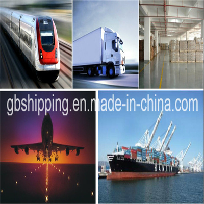 Transporte marítimo de carga aérea global desde Shenzhen a destinos de todo el mundo con tiempos de tránsito rápidos