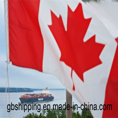 Servicio de seguimiento de línea de 24 horas proporcionado por expertos para carga aérea / carga marítima a Canadá Formulario de documentos