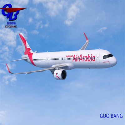 Servicio de transporte aéreo desde el sudeste de Asia Personalización con el servicio de aviación internacional