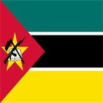 Envío conveniente de a Mozambique por vía aérea Servicio adicional Co/Fa/Fe/FF Servicio Express UPS
