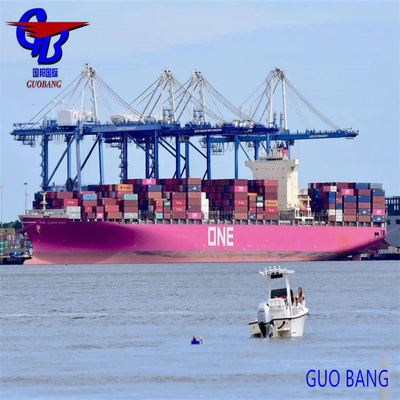 Envío desde Djibouti por mar Salida Shenzhen/HK//Shanghai/Tianjin Recogida por camión de los proveedores al puerto/almacén