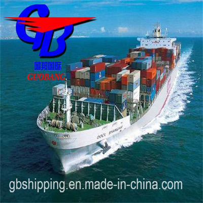 Transporte marítimo desde y hacia Arabia Saudita. Suministro total: 5000-8000 kg y servicio especial de envío combinado de varios proveedores.