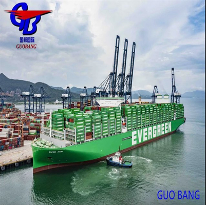 Tipo de envío flexible y profesional LCL a Fiji desde Shenzhen Freight Services