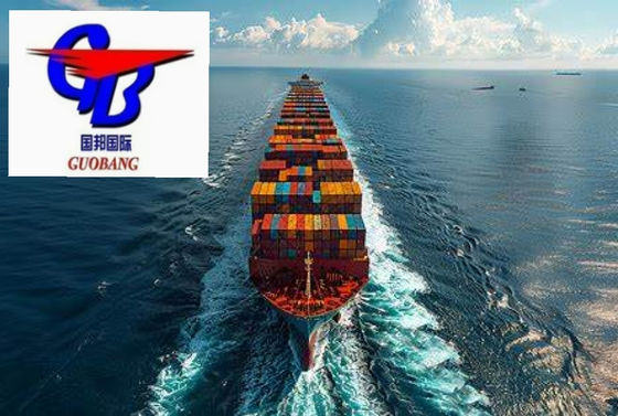 Obtener el mejor trato en el transporte marítimo de FCL a Indonesia 12 días Tiempo de tránsito Suministro total 1000-10000