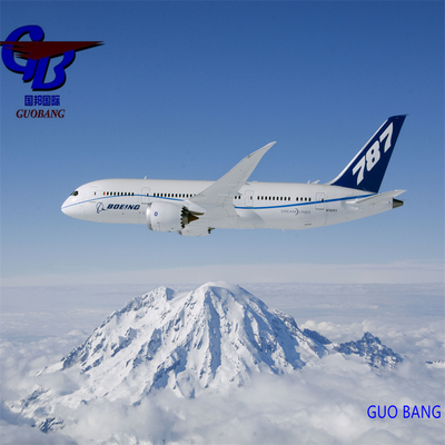 Guobang Airfreight Servicio Integral: Reserva - Recogida - Despacho de Aduanas - Carga a Bordo para Envío Aéreo De a Lyon desde Guobang