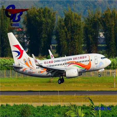 Servicio de seguimiento en línea las 24 horas Transitario de carga aérea internacional a Europa desde Shanghái Ningbo Shenzhen