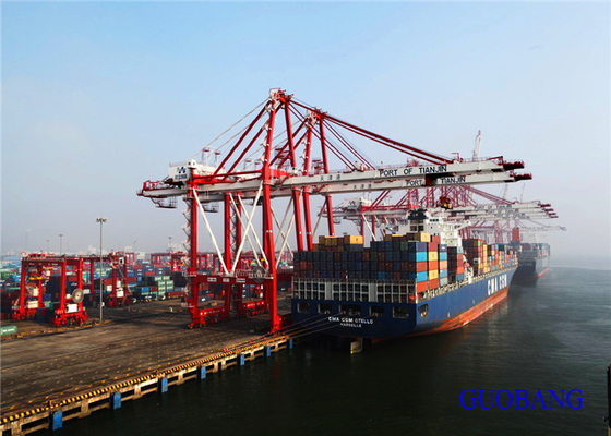El mejor transitario internacional / transporte marítimo desde China a Jamaica/KINGSTON