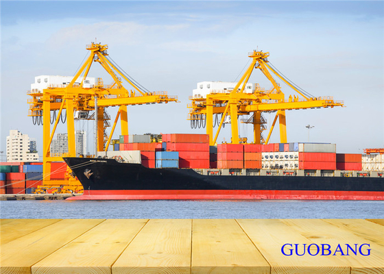 Transporte marítimo 20GP desde China a Nueva Zelanda