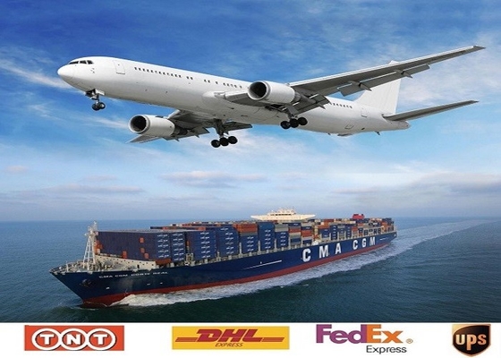 Oferta de Licencia de Exportación Despacho de Aduanas de Jiangmen, China