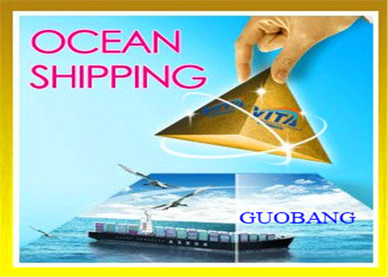 Servicios de Almacenamiento Gratuitos Despacho de Aduanas en Qingdao, China