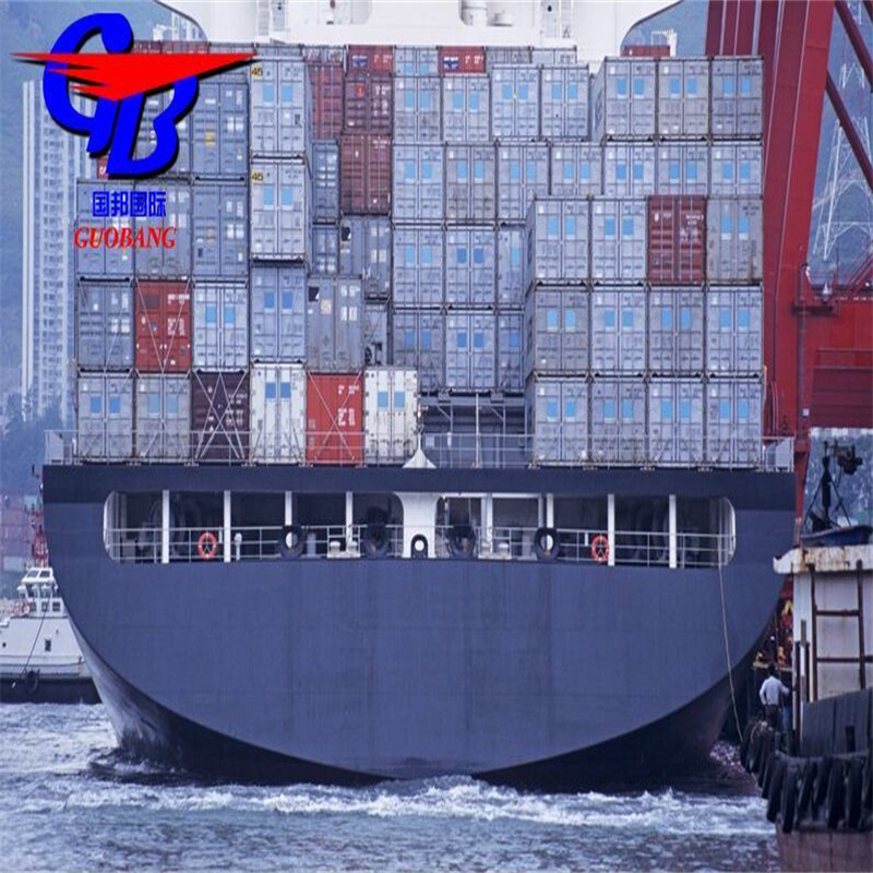 Servicio de flete marítimo FCL/LCL personalizado desde América para importación y despacho de aduanas con las 10 principales compañías navieras