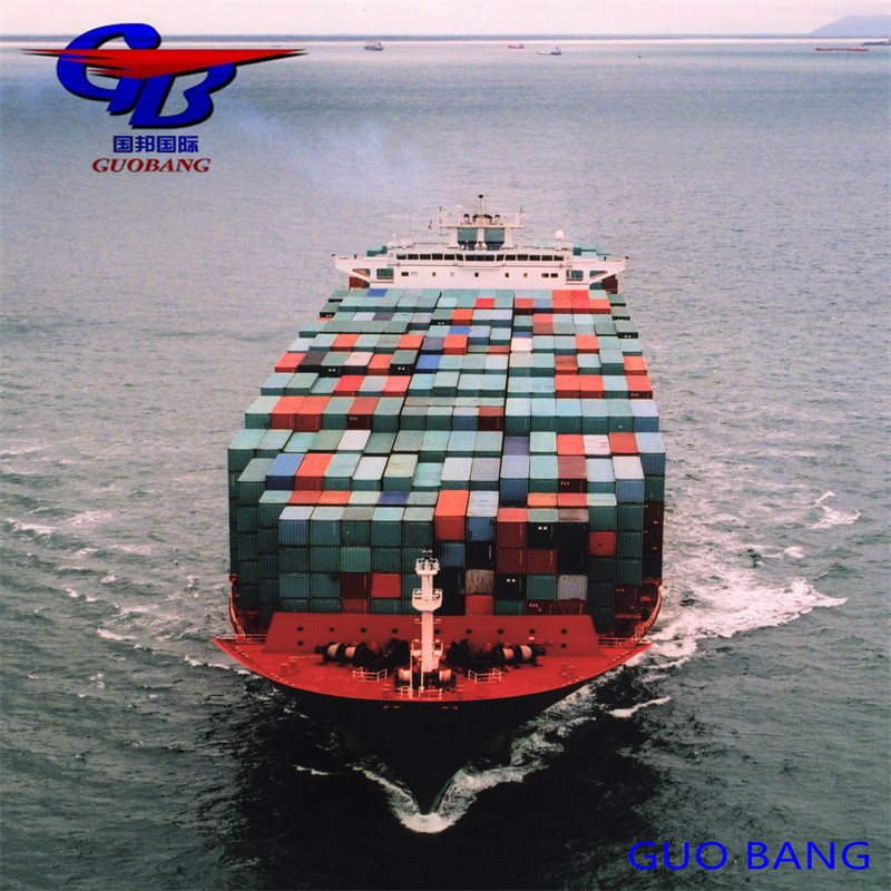Servicio de transporte marítimo Capacidad aduanera Importación y despacho de aduanas desde Europa con 8000-10000 kg Suministro total
