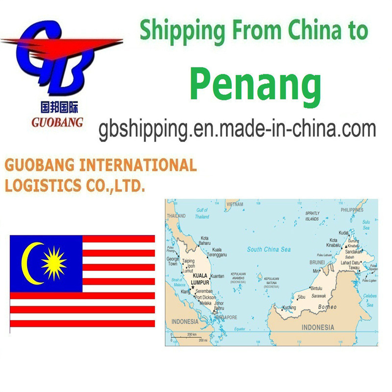 Servicios adicionales de despacho de aduanas y Co/Fa/Fe/FF para envíos sin problemas desde a Penang