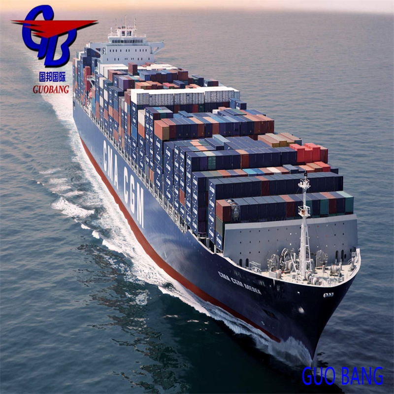 Transporte marítimo de Shenzhen a EE.UU. Tipo de envío FCL y LCL Servicio especial Envío combinado de varios proveedores