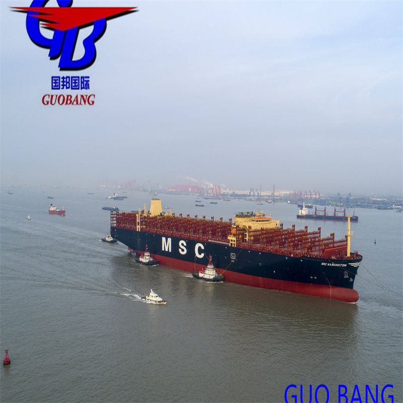 Servicios de transporte marítimo FCL y LCL desde Egipto hasta los puertos/almacenes