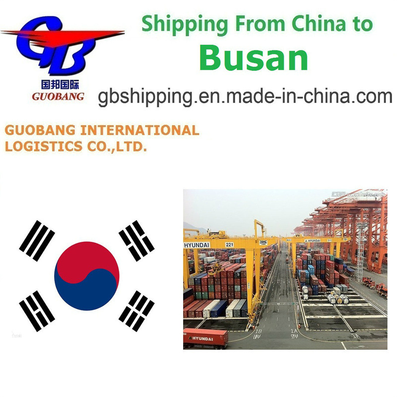 Servicios de envío de Busan a Corea Suministro total 1000teu/mes