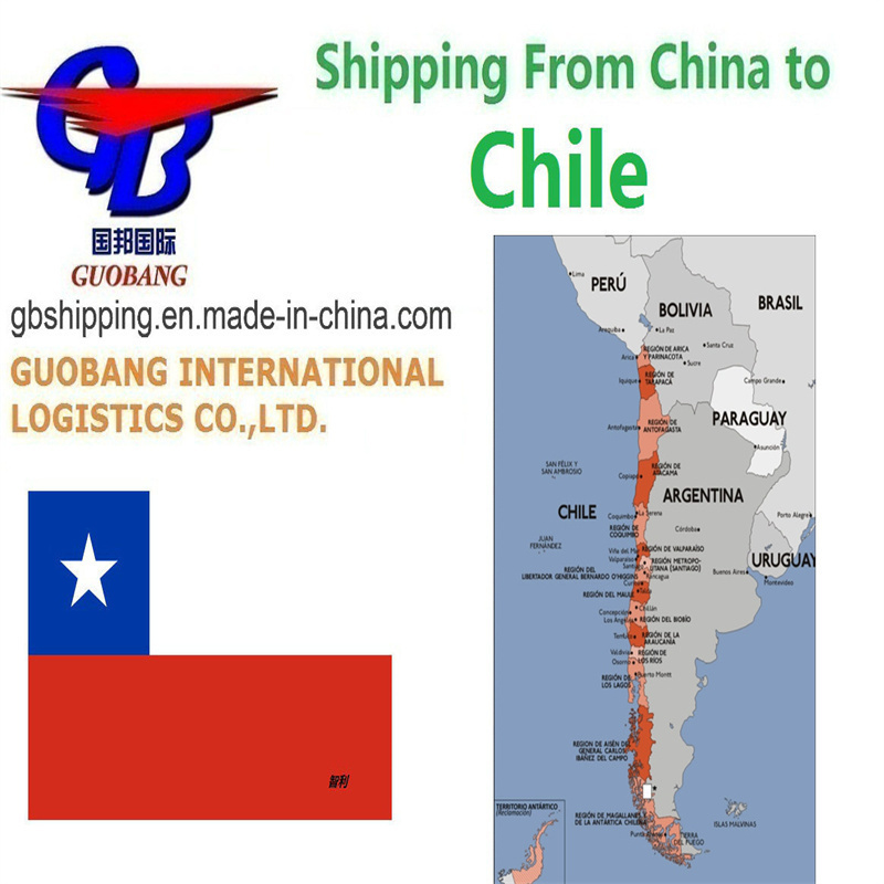 Mejores servicios de envío desde Chile con SGS Report Add-on Service