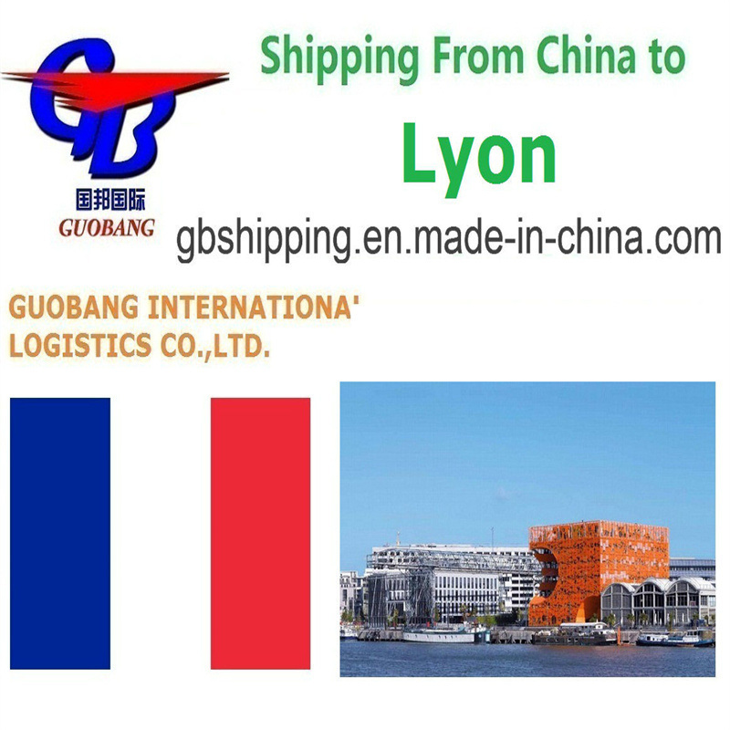 Mejores servicios de envío desde Lyon Salida Shenzhen/HK//Shanghai/Tianjin Recogida de camiones de los proveedores al puerto/almacén