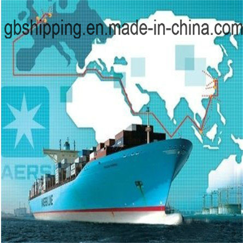 Agente de carga aérea de Shenzhen//Shanghai/Ningbo a todo el mundo Servicio integral: reserva, recogida, despacho de aduanas y embarque
