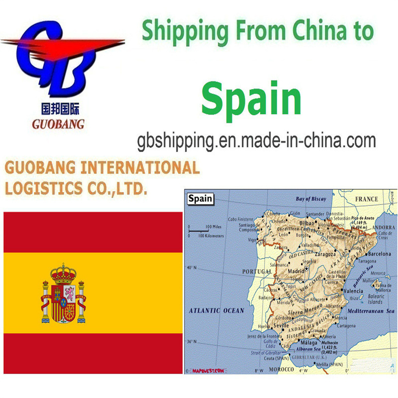 Recogida de camiones de proveedores a puerto/almacén Servicio de aviación internacional para envíos urgentes De a España