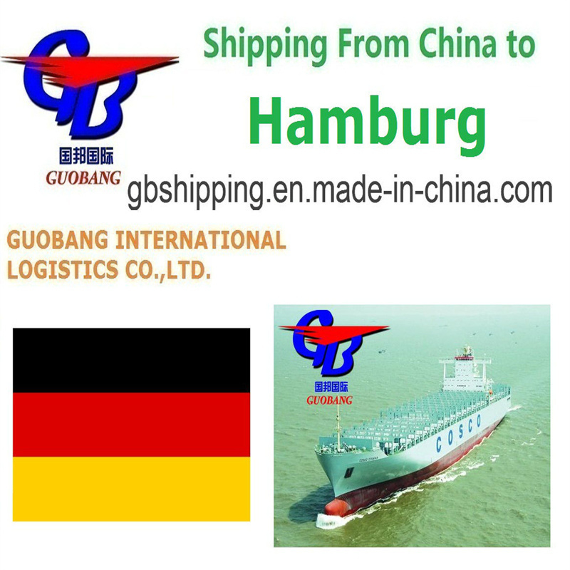 Servicios profesionales y confiables de recogida de contenedores de transporte marítimo de proveedores a puertos/almacenes desde Hamburgo