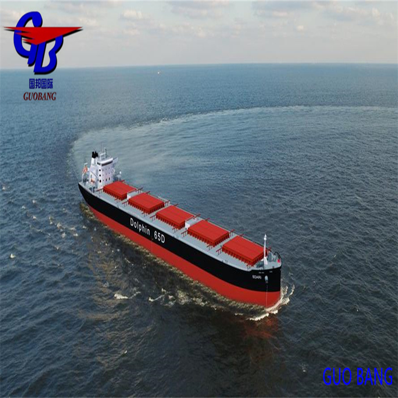 Envío marítimo FCL/LCL con salida diaria a Emiratos Árabes Unidos Oriente Medio con salida diaria Envío marítimo y transporte marítimo