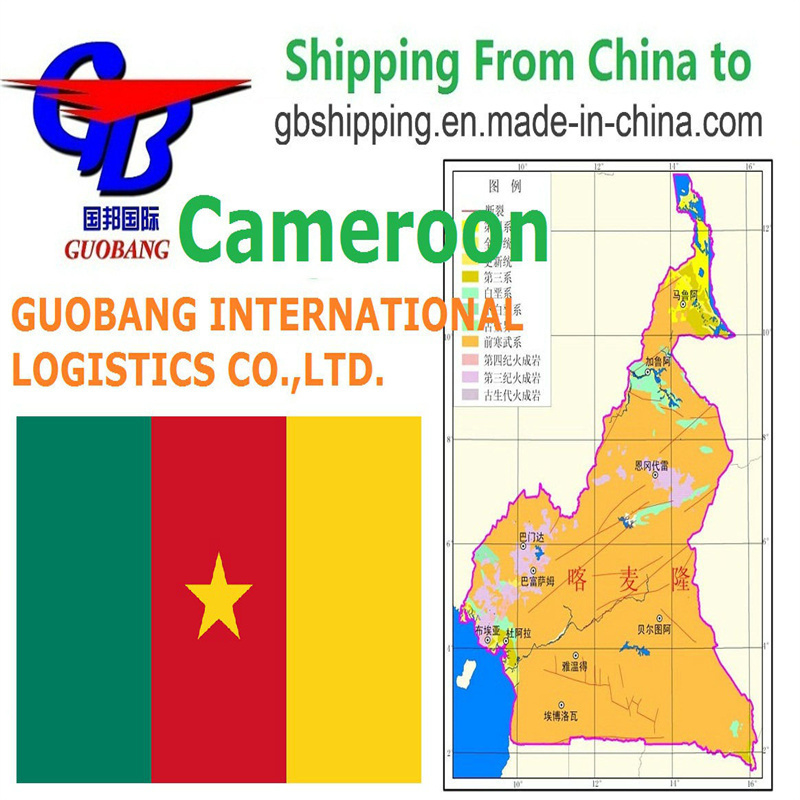 Transporte marítimo desde Camerún a Camerún Co/Fa/Fe/FF Servicio adicional Salida Shenzhen/HK//Shanghai/Tianjin