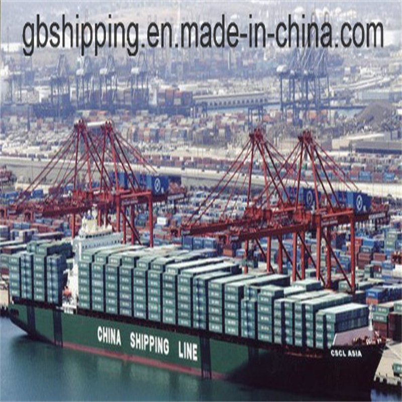 Despacho de aduanas Correduría aduanera con DG y LCL o FCL Container Logistics a Santos Brasil desde Shenzhen