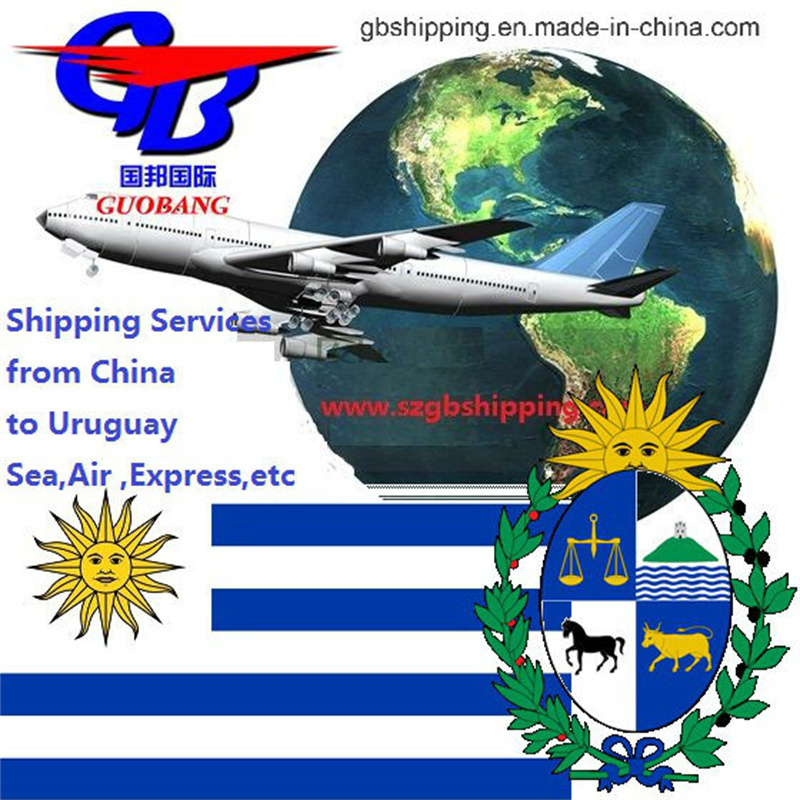 Servicio de flete aéreo conveniente y profesional desde Uruguay Reserva de una sola parada Recogida de aduanas