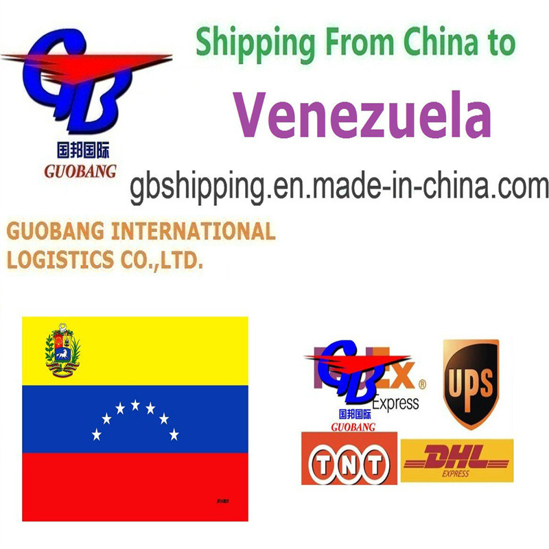 Servicio Profesional de Transporte de Carga desde a Venezuela. Recogida de Proveedores y Entrega en Puerto/Almacén