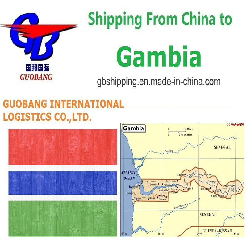 Servicios profesionales de transporte aéreo de Gambia a Gambia Reserva-recolección-despacho de aduanas a bordo