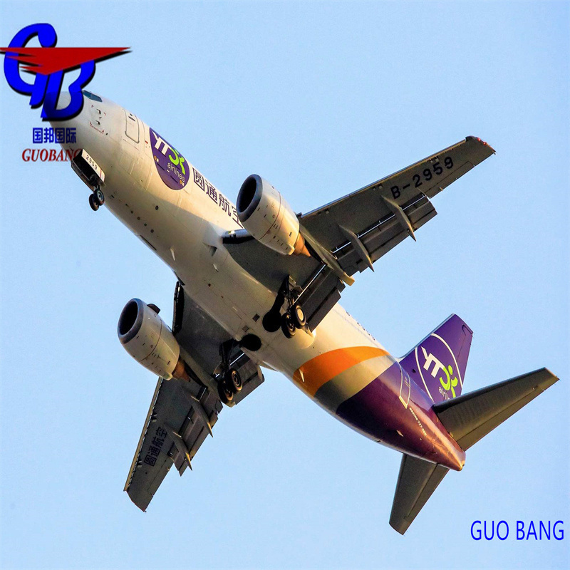 Reciba sus paquetes entregados rápidamente Envío UPS/FedEx desde Shenzhen a Canadá con servicio de seguimiento en 24 horas