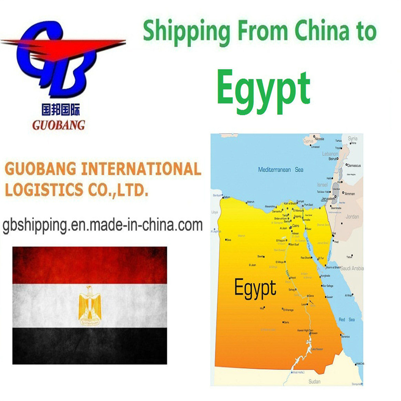 Servicios de envío aéreo desde y hacia Egipto. Personalización. Transporte en camión. Recogida de proveedores a puerto/almacén.