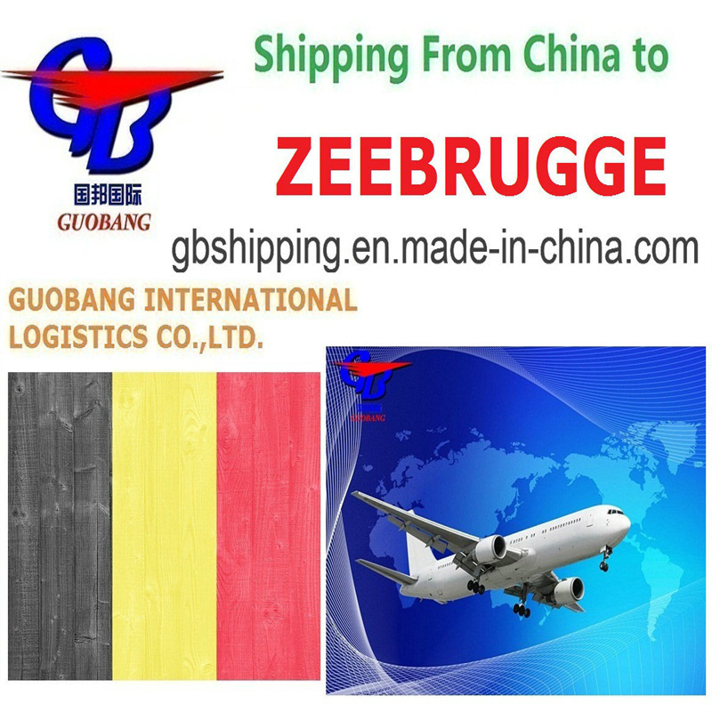 Servicios aéreos de carga asequibles desde hasta Zeebrugge. Recogida por camión desde los proveedores hasta el puerto/almacén.