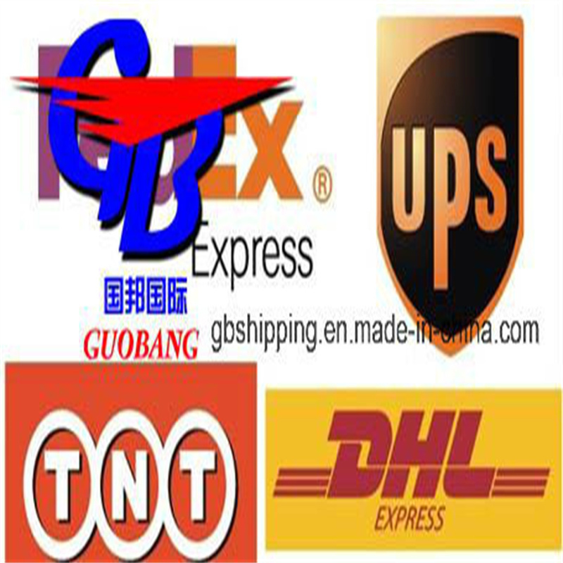 Guobang Guobang International Logistics Co. El envío marítimo funciona bien con Msk UPS El envío desde Francia