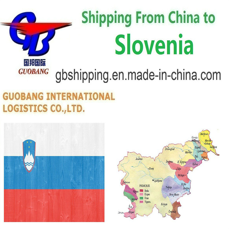 Guobang Carga aérea rápida y transporte por camión de los proveedores al puerto/almacén para servicios de transporte aéreo desde Eslovenia a Eslovenia