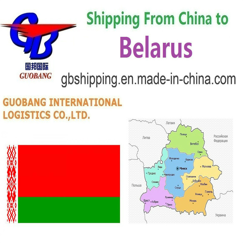 Servicio adicional conveniente y de seguro para envíos aéreos y marítimos LCL FCL Courier a Bielorrusia
