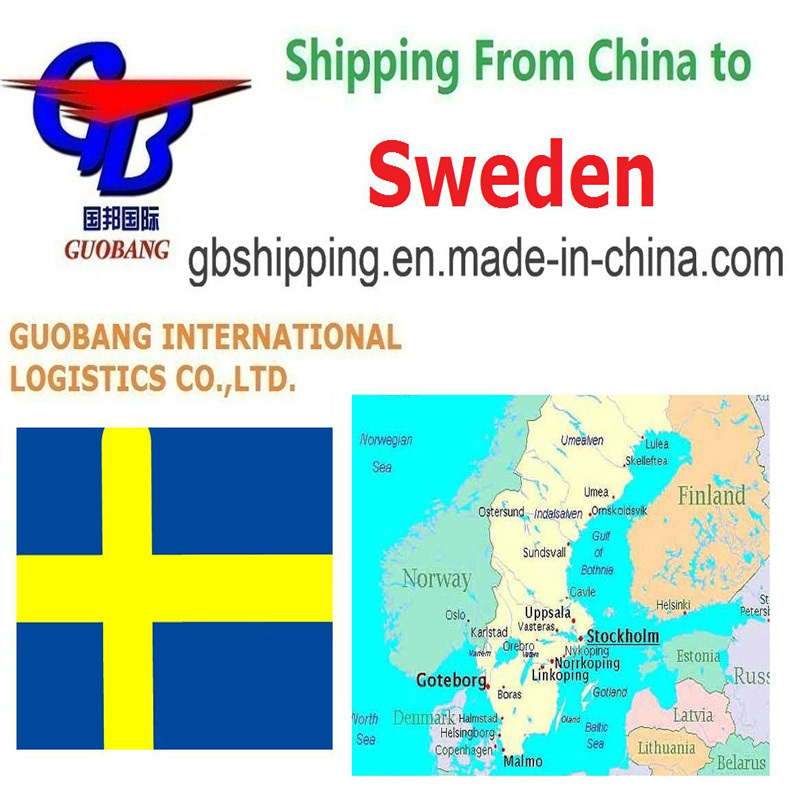 Servicio de Aviación Internacional para el Envío de Mercancías Peligrosas Desde Shanghái a Norrköping Logística de Transporte Aéreo