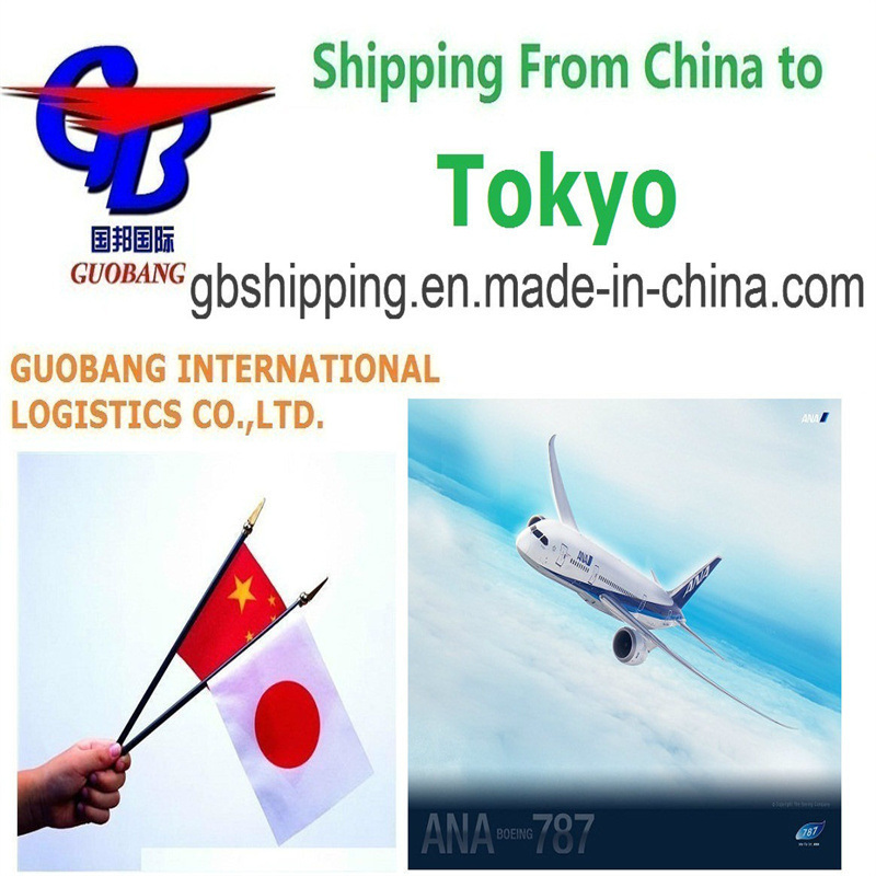 Servicios de transporte marítimo de mercancías por aire LCL FCL