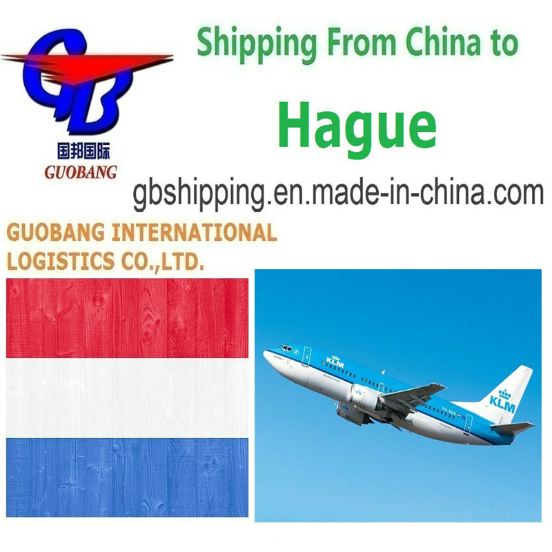 Servicios de transporte aéreo desde La Haya a La Haya Personalización para el transporte aéreo de mercancías por mar LCL FCL