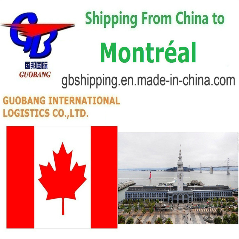 Servicio Express DHL Transporte Aéreo y Marítimo Conveniente y Económico LCL FCL Envíos de Mensajería a Montreal